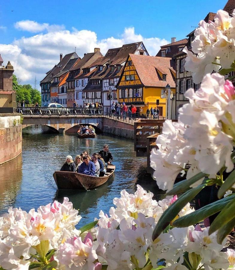 Djokovic'S Apartment Colmar Exterior foto